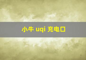 小牛 uqi 充电口